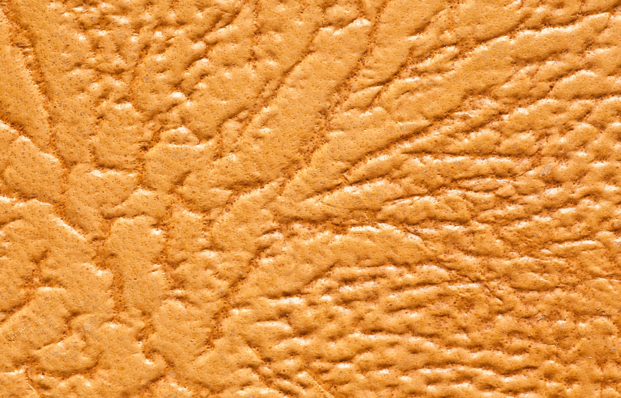 Macro photograph of vegan leather texture